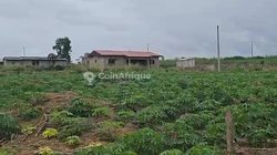 Terrain 500 m² - Bonoua