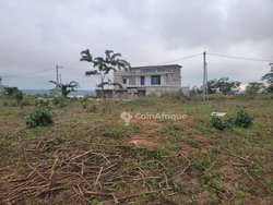 Terrain 400m²  - Bingerville