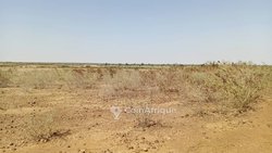 Terrain agricole 1 ha - Binkebougou