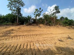 Terrain agricole - Ngombé