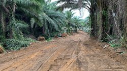 Terrain agricole - Kendeck 