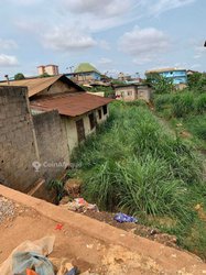 Terrains  - Yaoundé Bata Nlongkak
