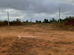 Terrains - Yamoussoukro