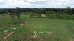 vente terrains 500  - issia