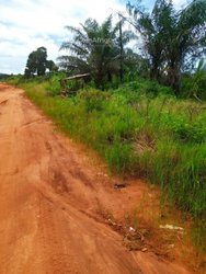Terrains 1000 m² - Libreville