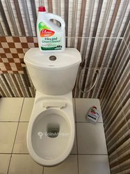 Phoenix éclat carrelage