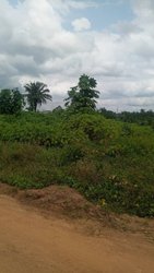 Terrain 500 m² - Attinguié 