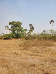 Terrains 1000 m² - Yamoussoukro