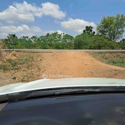 Terrains agricoles 1000000  - savè