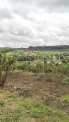 Terrains 429 m² - Bingerville