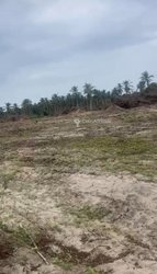 Terrain - Jacqueville Kokoh 