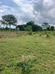Terrain à vendre 4 lots 