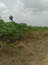 Terrain 300m² à yamoussoukro zatta  des lots de 300m² avec certificat foncier