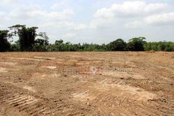 vente terrains 500  - grand-bassam