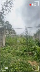 vente terrains 300m  - douala Japoma