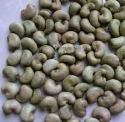 Raw cashew nuts -rcn fob côte d'ivoire