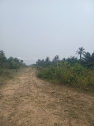 Terrains 600m²  - jacqueville ahua