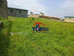 Terrains 350m²  - cocody