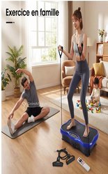 Plate forme vibrante 