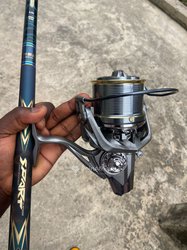 Canne à pêche 