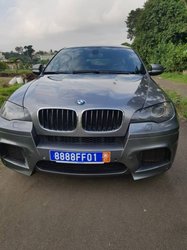 BMW X6 2010