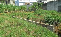 Vente terrains 500 m² - Abidjan