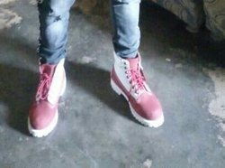Chaussures Timberland